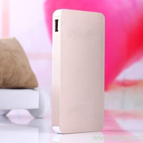 Engravable Aluminum Dual USB Power Bank