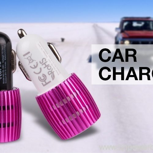 Two-in-One Battery Car Charger for Workshops